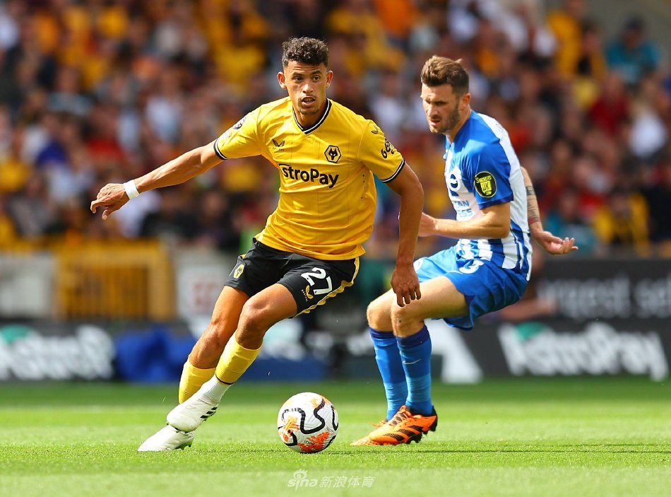 仅仅是运动 仅仅是运动