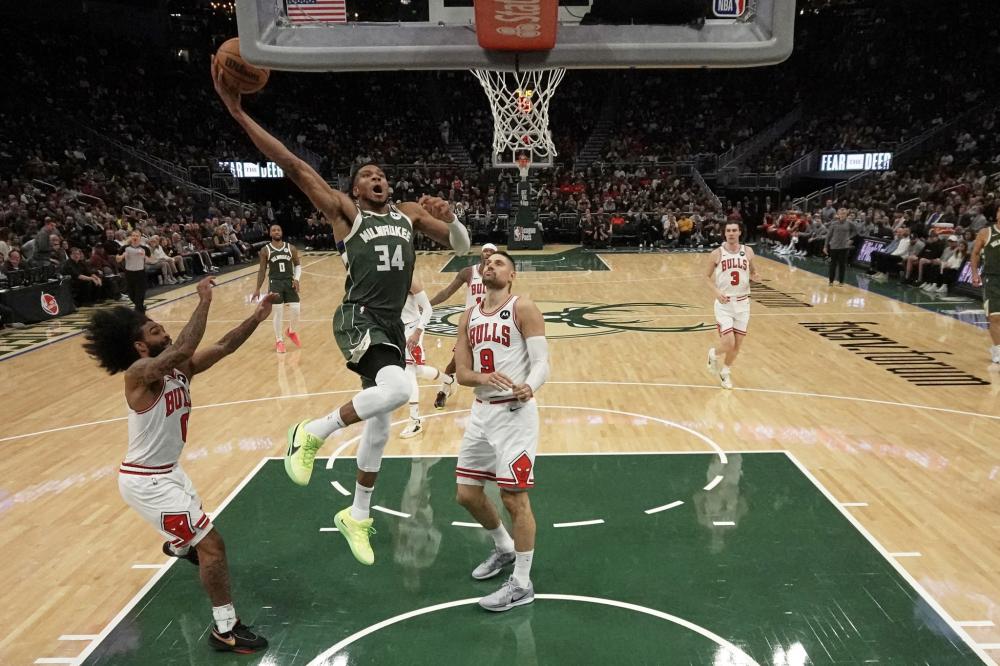 红土环境既 红土环境既